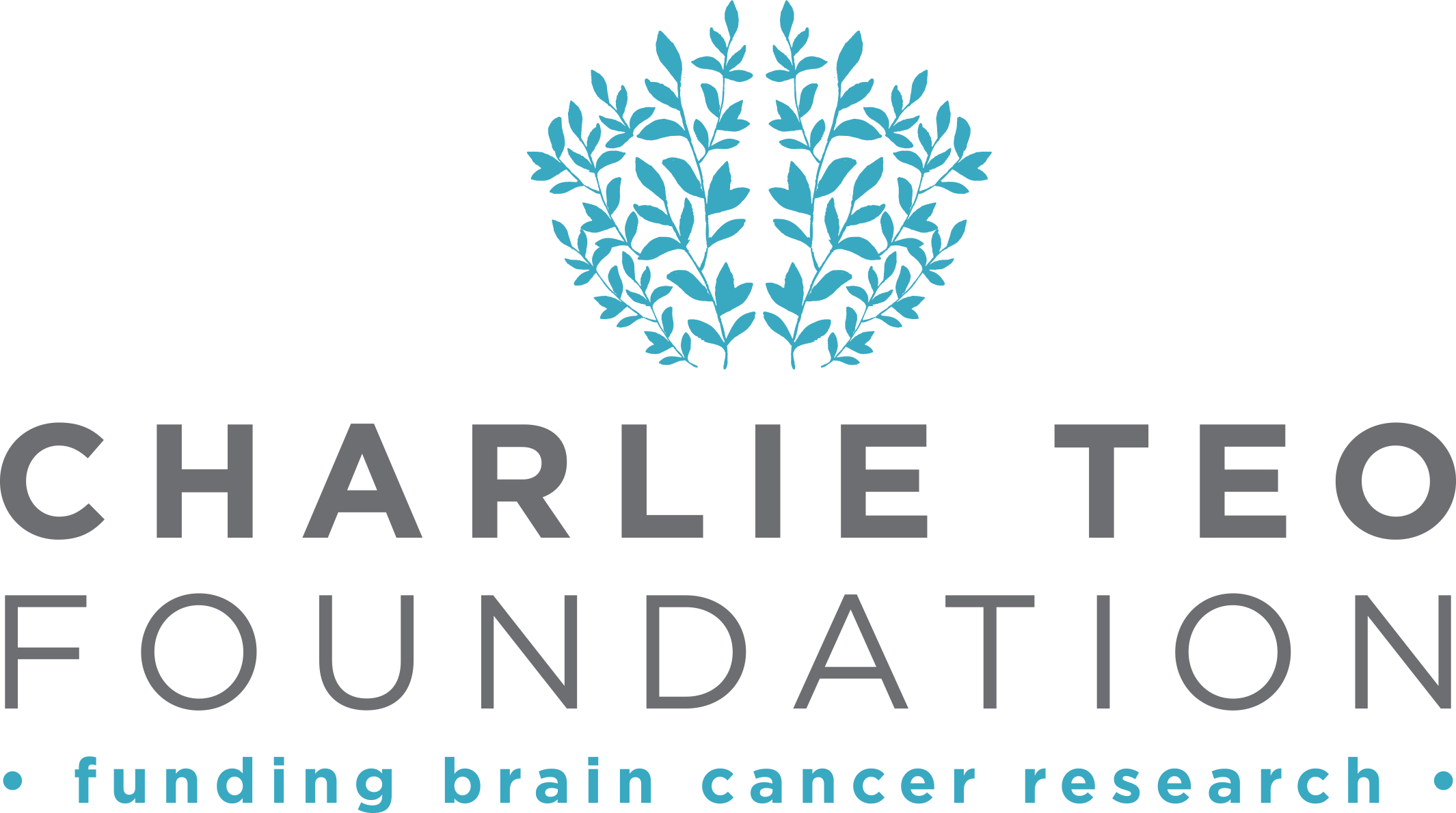 Charlie Teo Foundation